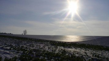 winterlandschap 
